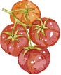 トマトのイラスト