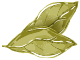 葉っぱのイラスト