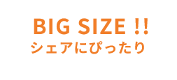 BIG SIZE !! シェアにぴったり
