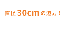 直径30cmの迫力！