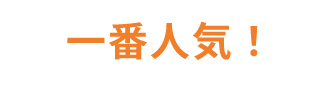 一番人気!