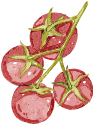 トマトのイラスト